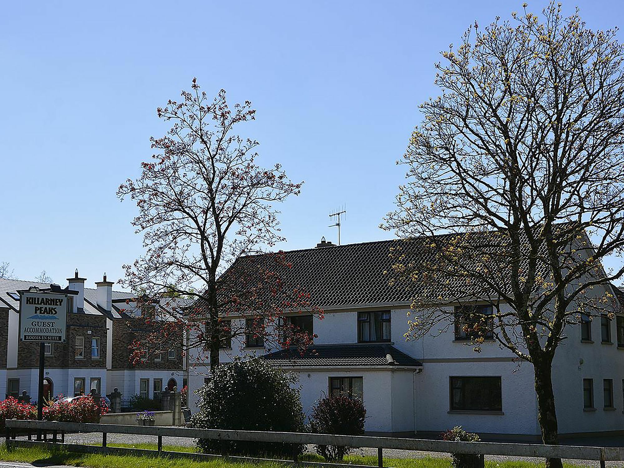 Killarney Peaks Guesthouse Zewnętrze zdjęcie