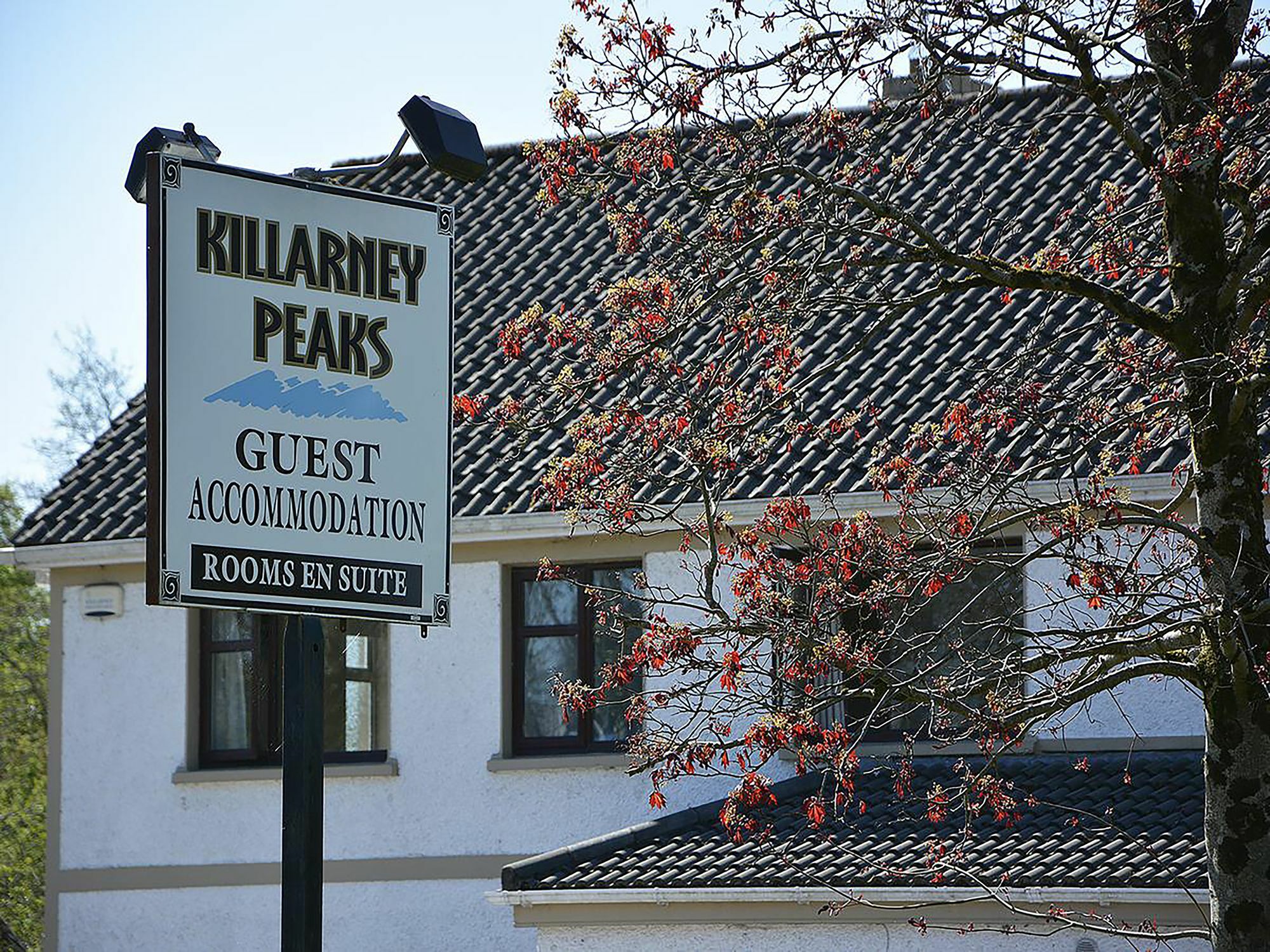 Killarney Peaks Guesthouse Zewnętrze zdjęcie